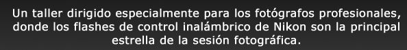 Un taller dirigido especialmente para los fot&oacute;grafos profesionales, donde los flashes de control inal&aacute;mbrico de la Nikon son la principal estrella de la sesi&oacute;n fotogr&aacute;fica. Durante una sesi&oacute;n de media jornada, los fot&oacute;grafos podr&aacute;n conocer en primera persona  c&oacute;mo iluminar un veh&iacute;culo con unos &ldquo;sencillos&rdquo; flashes port&aacute;tiles y obtener resultados totalmente satisfactorios. Para ello, Christian Colmenero, reconocido fot&oacute;grafo madrile&ntilde;o cuya especialidad es la fotograf&iacute;a de veh&iacute;culos (coches, motos), ser&aacute; el encargado de llevar a cabo el taller.